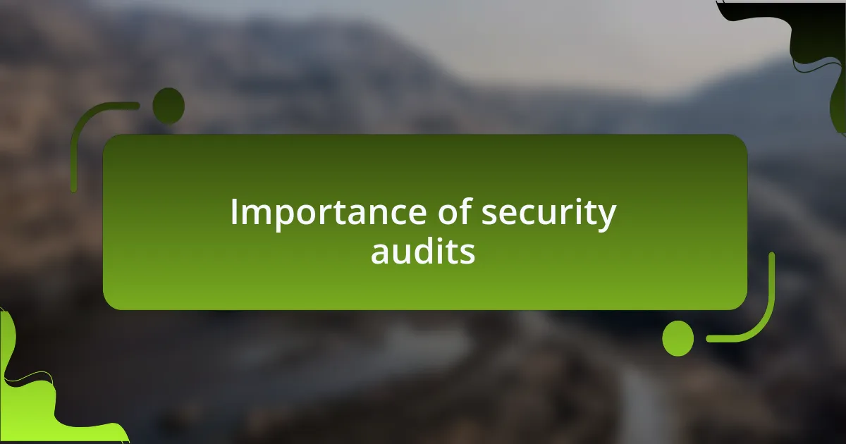 Importance of security audits